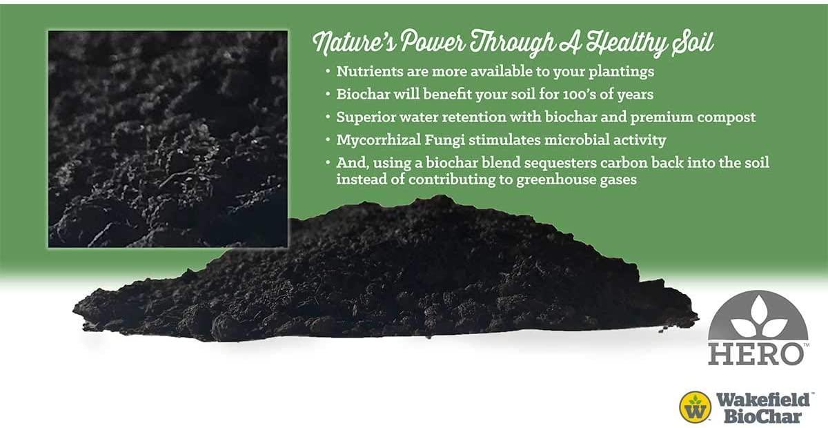wakefield wfbcsc-bag-40 1 cu ft bag premium biochar organic garden soil conditioner (3 pack)