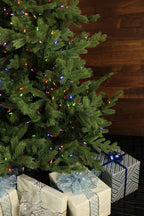 Fraser Hill Farm Multi-Color Prelit LED Green Foxtail Pine Artificial Christmas Tree, 9'