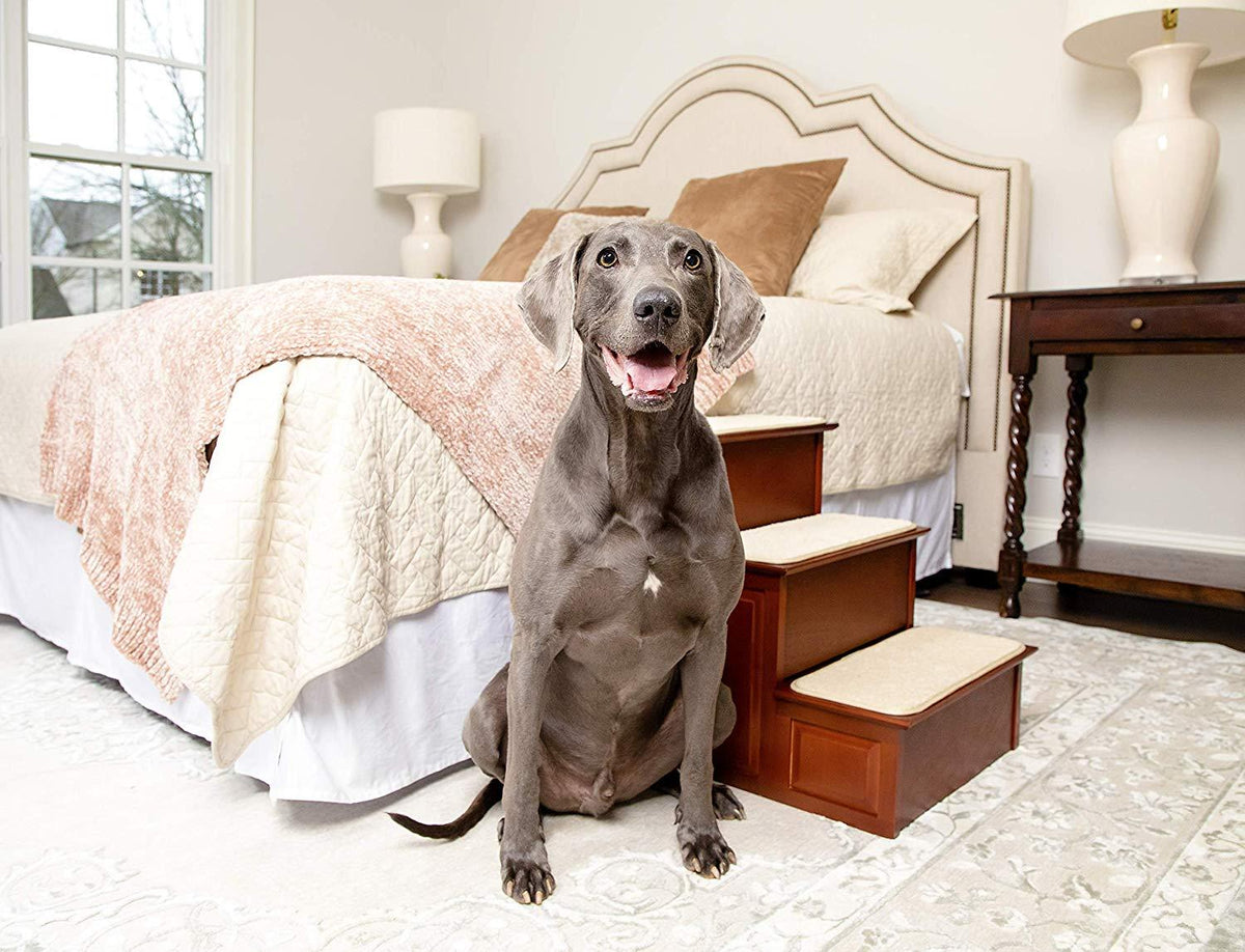 PetSafe Solvit Decorative Pet Stairs, 2-Step, Cherry Steps for Dogs and Cats, Great for Couches and Chairs