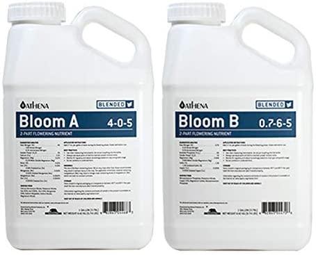 athena - bloom a + b gallon