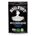 big foot organic mycorrhizal fungi water-in concentrate. 4 species endo mycorrhizae inoculant for plant root growth. 1 tsp per gallon of solution. biochar, worm castings, micronutrients (32 oz)