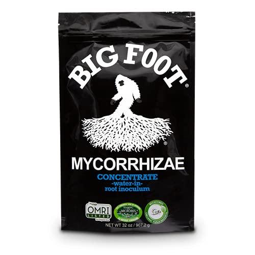 big foot organic mycorrhizal fungi water-in concentrate. 4 species endo mycorrhizae inoculant for plant root growth. 1 tsp per gallon of solution. biochar, worm castings, micronutrients (32 oz)