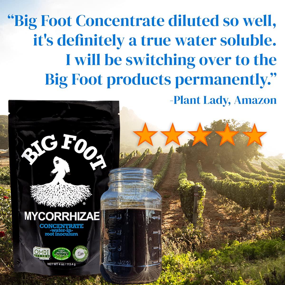 big foot organic mycorrhizal fungi water-in concentrate. 4 species endo mycorrhizae inoculant for plant root growth. 1 tsp per gallon of solution. biochar, worm castings, micronutrients (32 oz)