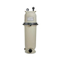 pentair 160301 clean and clear replacement pool filter pump cartridge assembly
