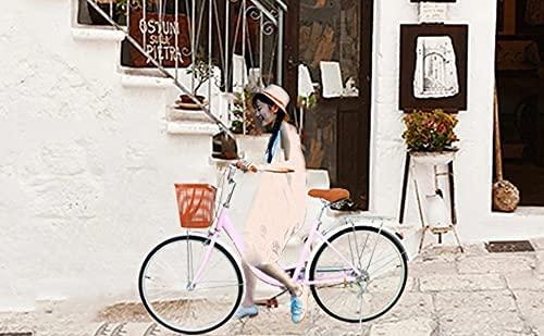 Womens 20inch Classic Bicycle, Retro Women's Bicycle 6 Speed Beach Cruiser Bike