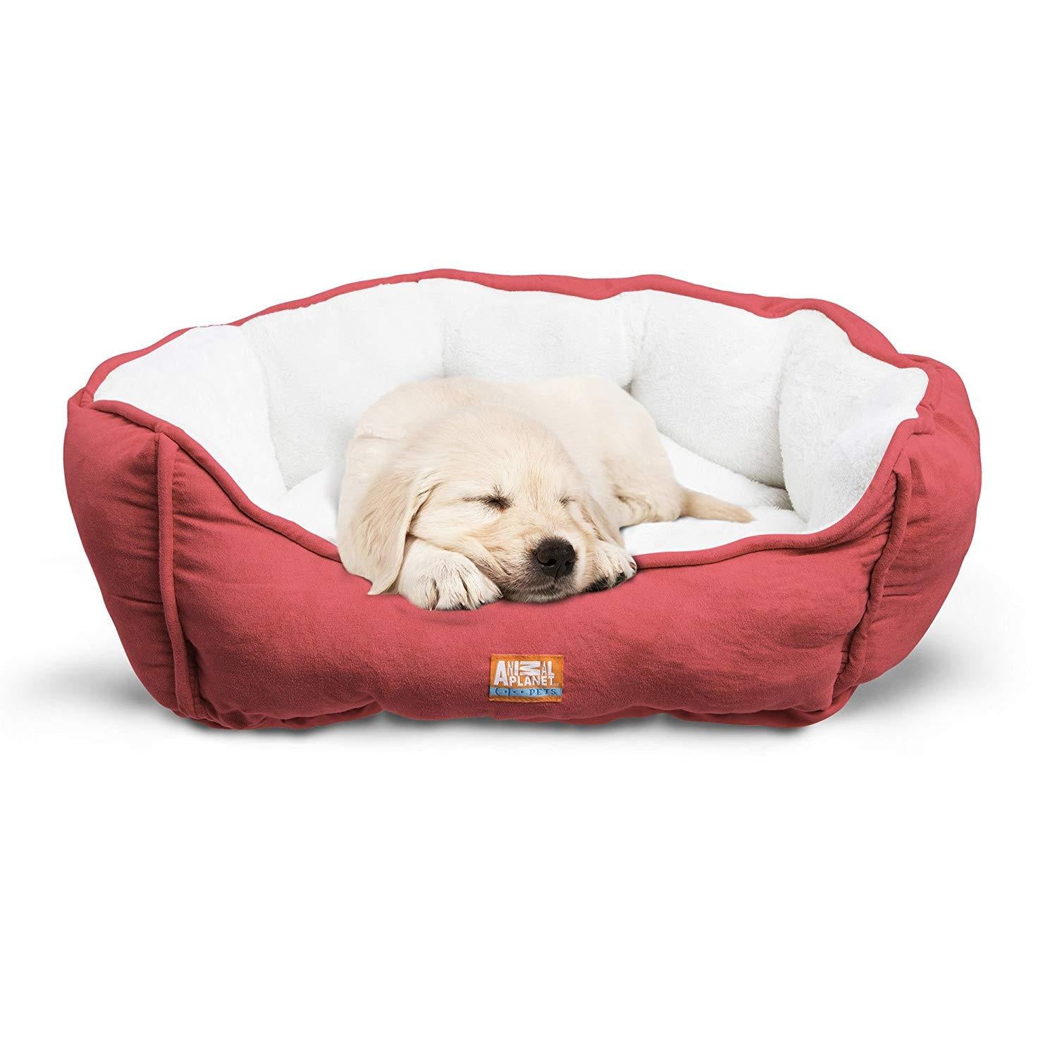Animal Planet Orthopedic Luxury Dog Bed - Premium Memory Foam Pet Dog Sofa Bed Lounger with Washable Cover, Larand Jumbo - for Dogs &amp; Cats