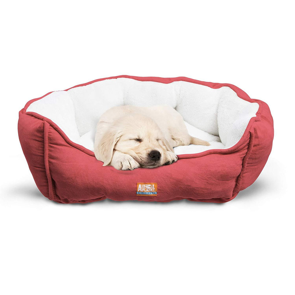 Animal Planet Orthopedic Luxury Dog Bed - Premium Memory Foam Pet Dog Sofa Bed Lounger with Washable Cover, Larand Jumbo - for Dogs &amp; Cats