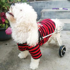 Briday LarSize  Steel Pet/Dog Wheelchair Handicapped Hind Legs Pet/Dog