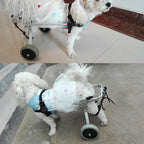 Briday LarSize  Steel Pet/Dog Wheelchair Handicapped Hind Legs Pet/Dog