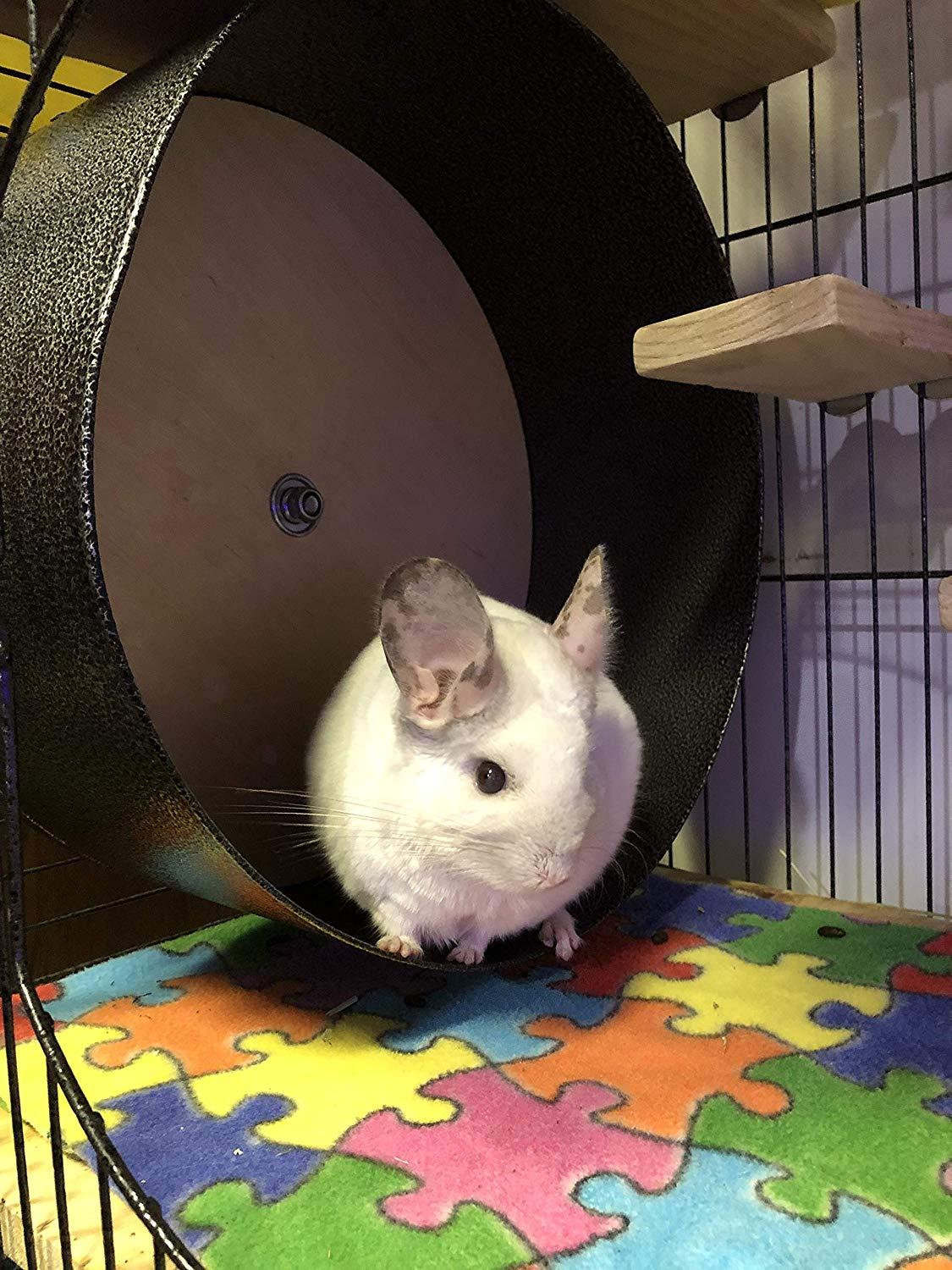 Felix &amp; Fido Spin Safe 15" Chinchilla and Other Small Animal Wheel Heavy Duty- Super Quiet Ball Bearing System- No Plastic &amp; No Exposed Edges-Smooth Spinning- Secure Mounting