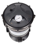 cartridge filter and pressure gauge with union fittings for swimming pool 60sf