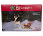 Deer &amp; Sleigh 2-Piece LED Decor Set