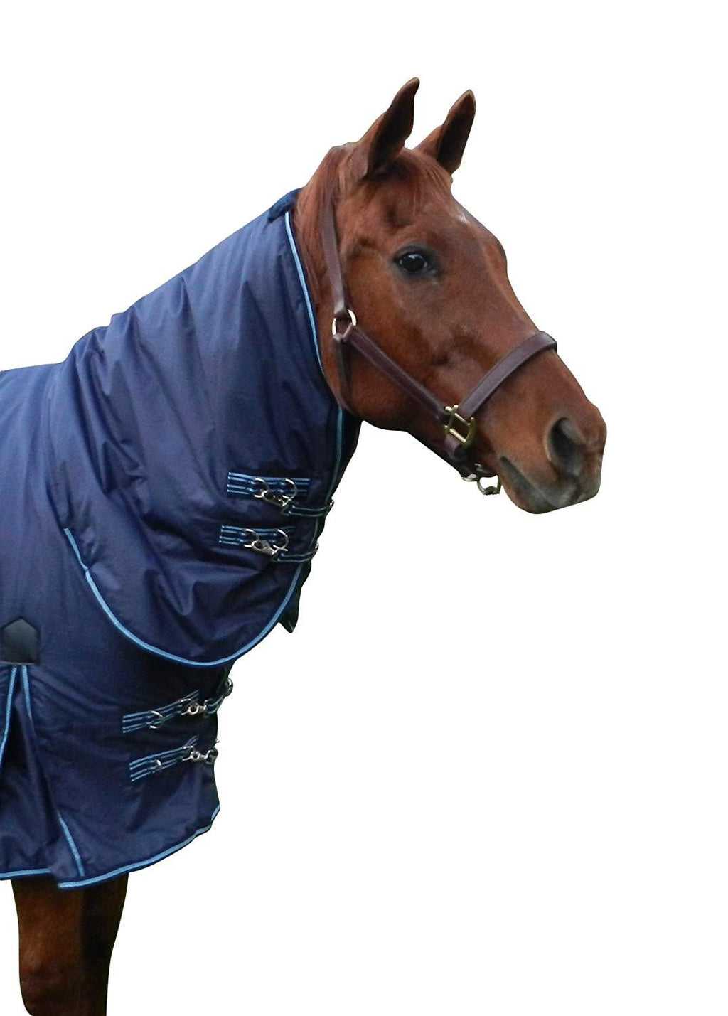 Winter Turnout Horse Blanket
