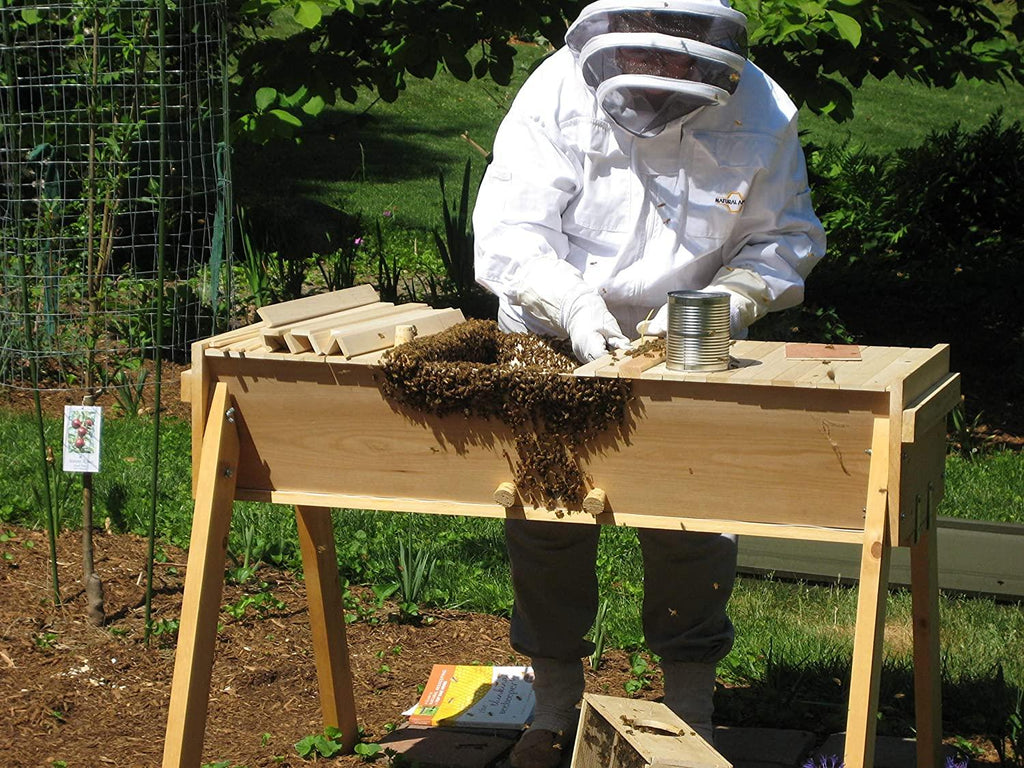 gold star honeybees top bar hive beekeeping kit