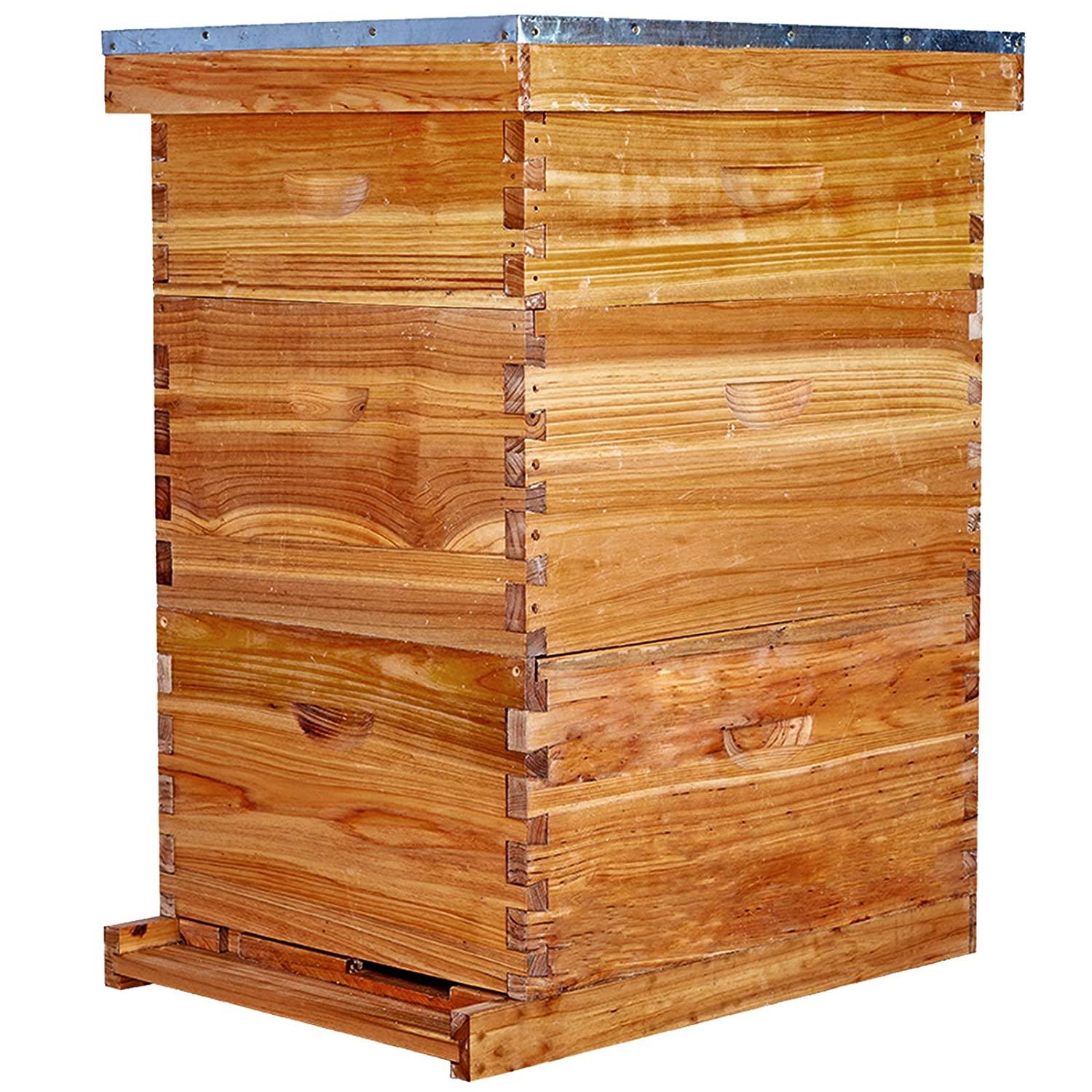 bee hive 10 frame bee hives and supplies starter kit, bee hive for beginner, honey bee hives includes 2 deep bee boxes, 1 bee hive super with beehive frames and foundation