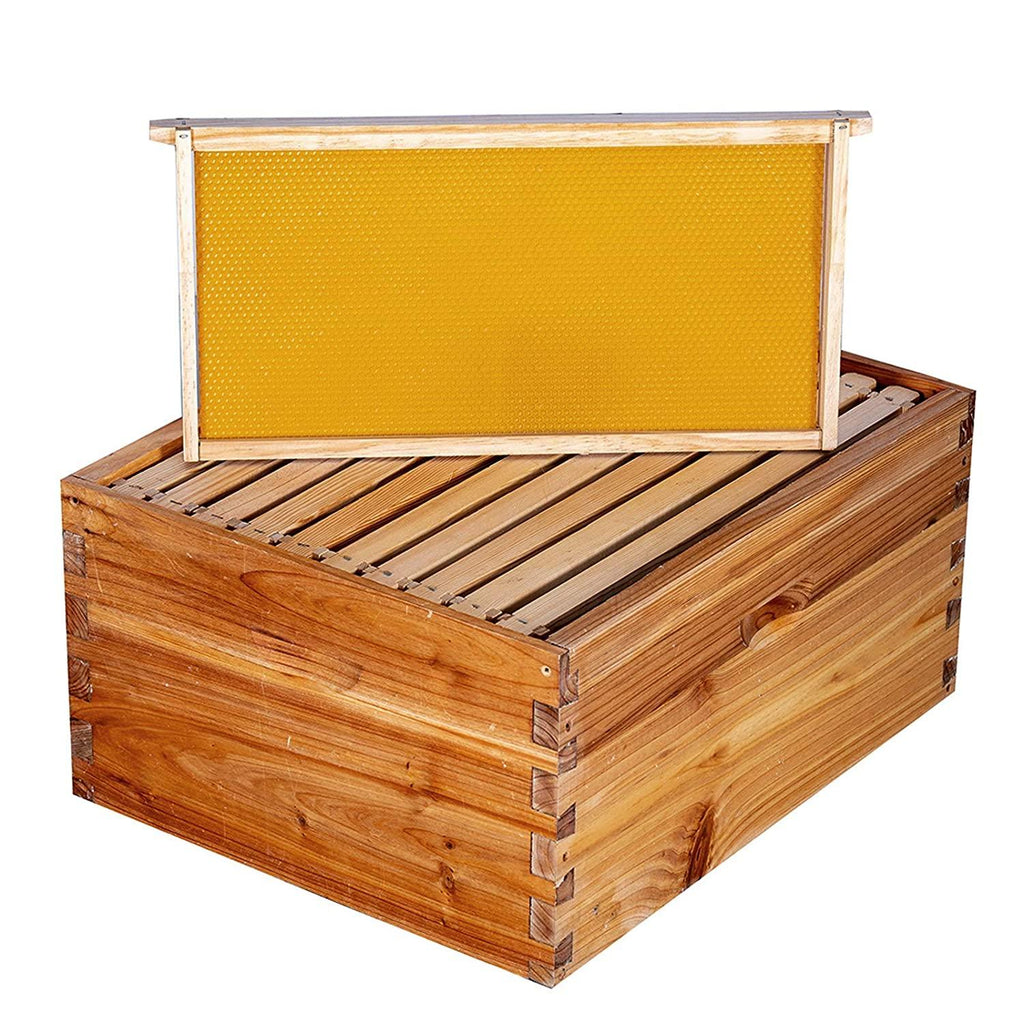 bee hive 10 frame bee hives and supplies starter kit, bee hive for beginner, honey bee hives includes 2 deep bee boxes, 1 bee hive super with beehive frames and foundation