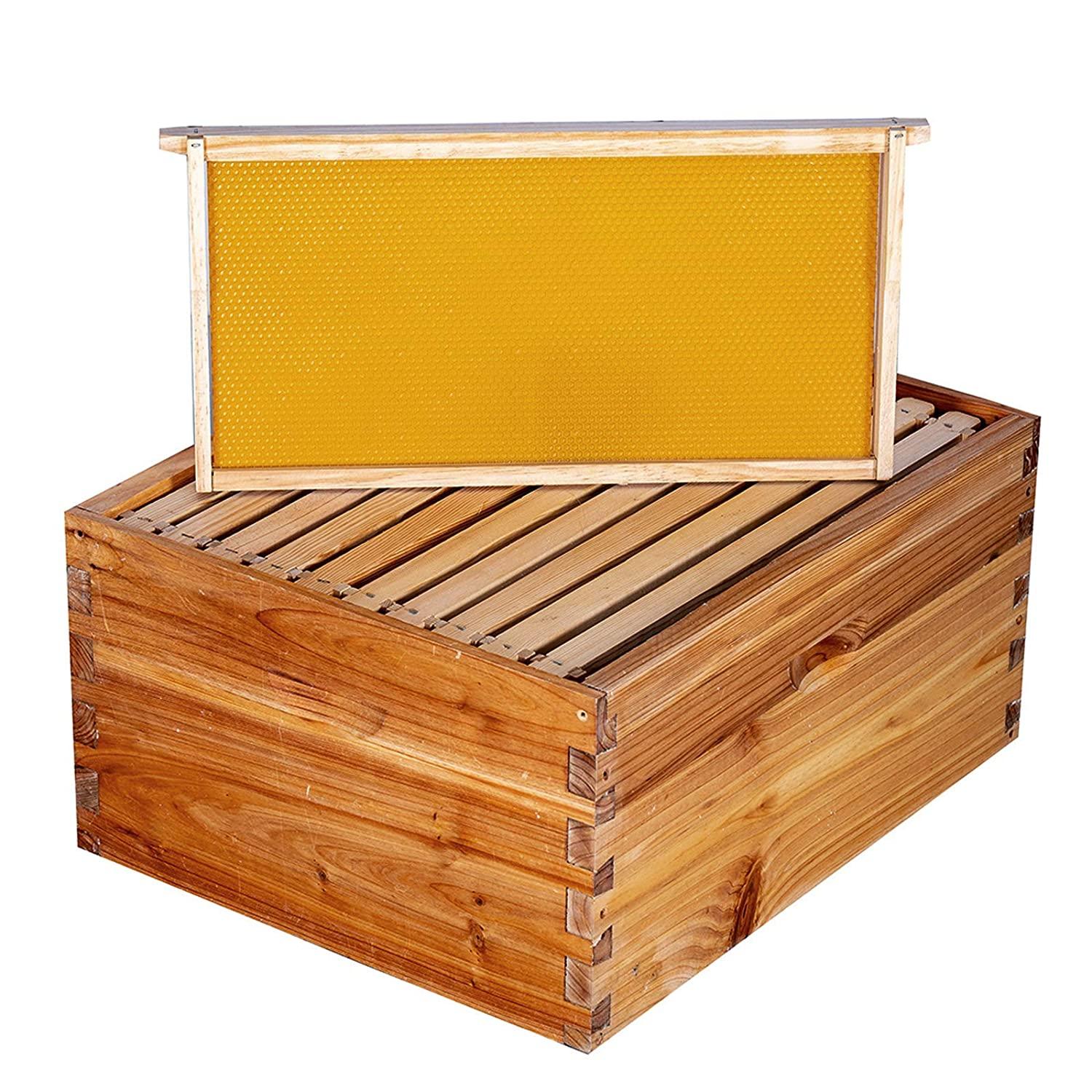 bee hive 10 frame bee hives and supplies starter kit, bee hive for beginner, honey bee hives includes 2 deep bee boxes, 1 bee hive super with beehive frames and foundation