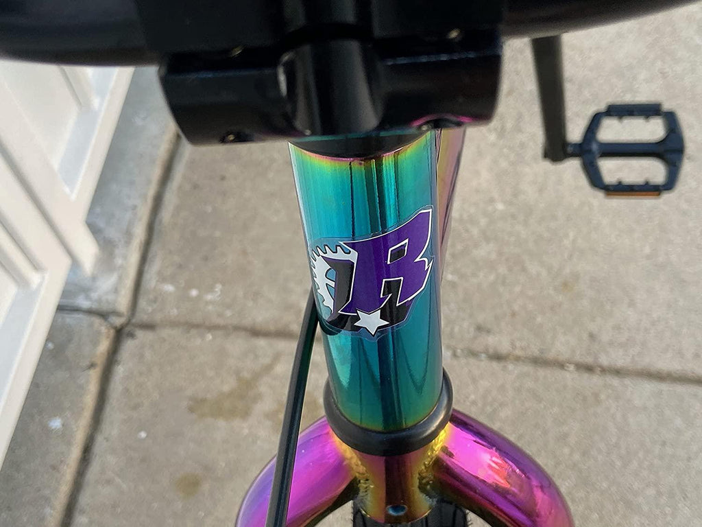 Pro 20" Complete BMX Bicycle W/ 3 Piece Crank, Pegs Included, Oil Slick