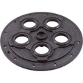 Zodiac-Polaris Center Plate, Zodiac Polaris Caretaker Valve