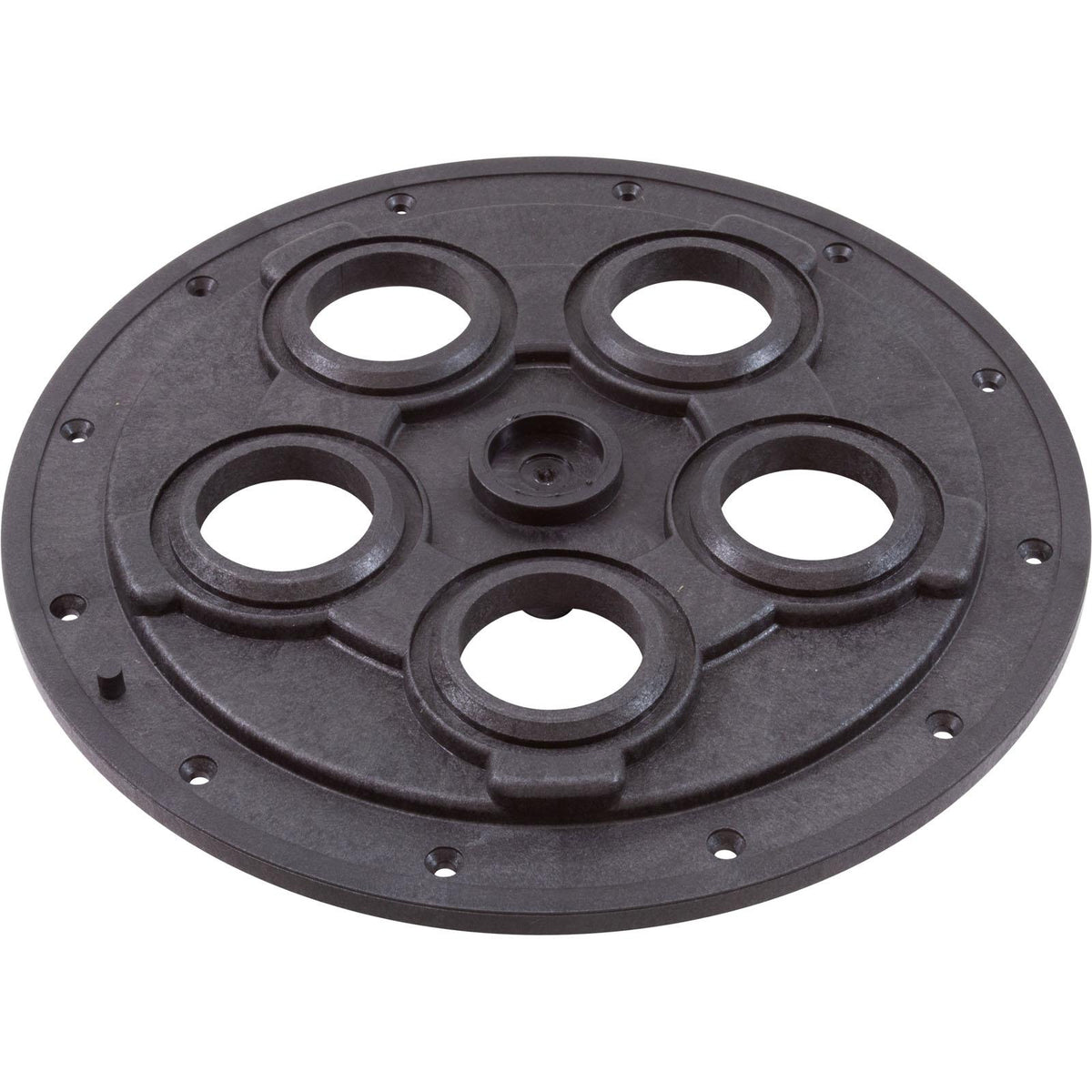 Zodiac-Polaris Center Plate, Zodiac Polaris Caretaker Valve