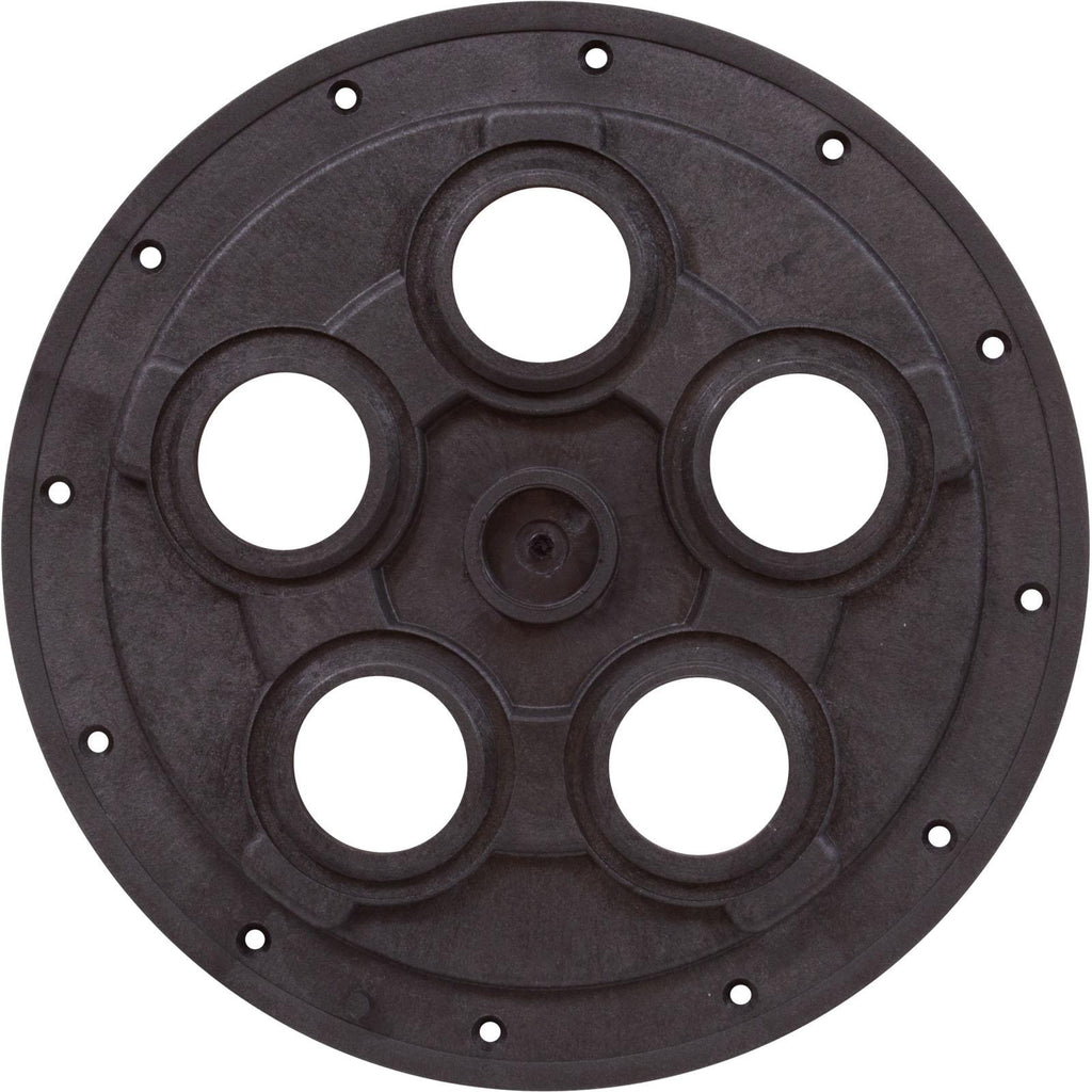 Zodiac-Polaris Center Plate, Zodiac Polaris Caretaker Valve