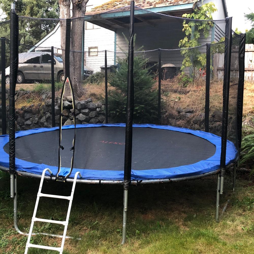12 ft. Trampoline with Safety Net and Ladder in Black and Blue