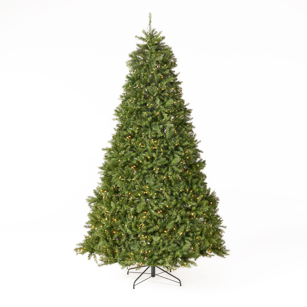 Noble House 9 Foot Artificial Fraser Fir LED Christmas Tree, Green/Clear LED