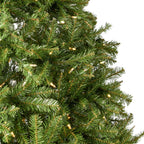 Noble House 9 Foot Artificial Fraser Fir LED Christmas Tree, Green/Clear LED