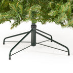 Noble House 9 Foot Artificial Fraser Fir LED Christmas Tree, Green/Clear LED