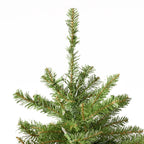 Noble House 9 Foot Artificial Fraser Fir LED Christmas Tree, Green/Clear LED