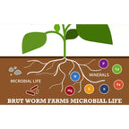 brut super soil indoors outdoors complete rich dark healthy natural organic 21 qt non toxic odor free all purpose soil (4 pack)