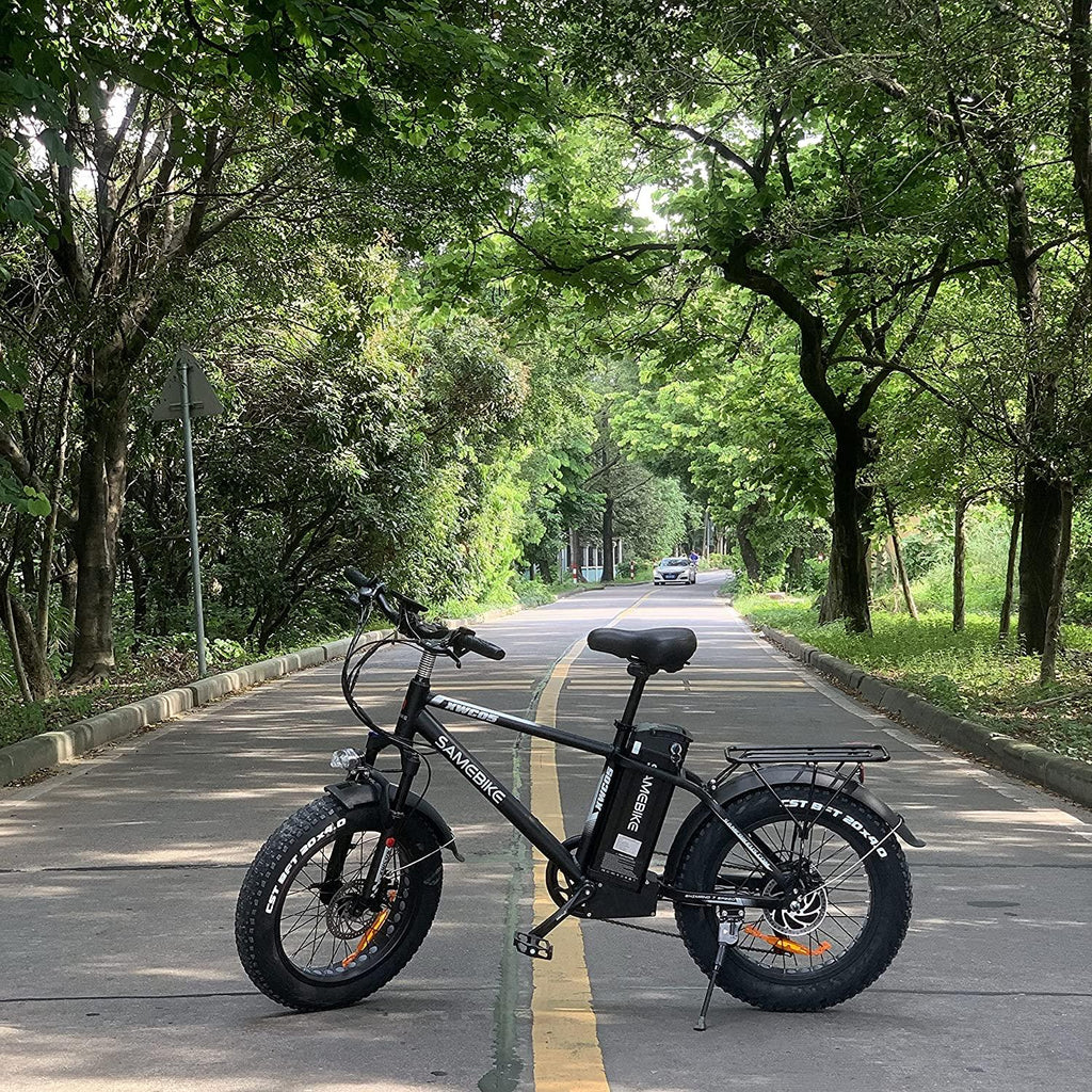 XWC05 750W Electric Bikes for Adults Up to 65 Miles EBike 4.0" Fat Tire Electric Bike 25 Mph