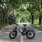 XWC05 750W Electric Bikes for Adults Up to 65 Miles EBike 4.0" Fat Tire Electric Bike 25 Mph