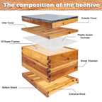 beehive starter kit, 10-frame bee hives &amp; 24pcs beekeeping supplies tools kit, wax coated and painted honey bee box and professional beekeeping starter tools
