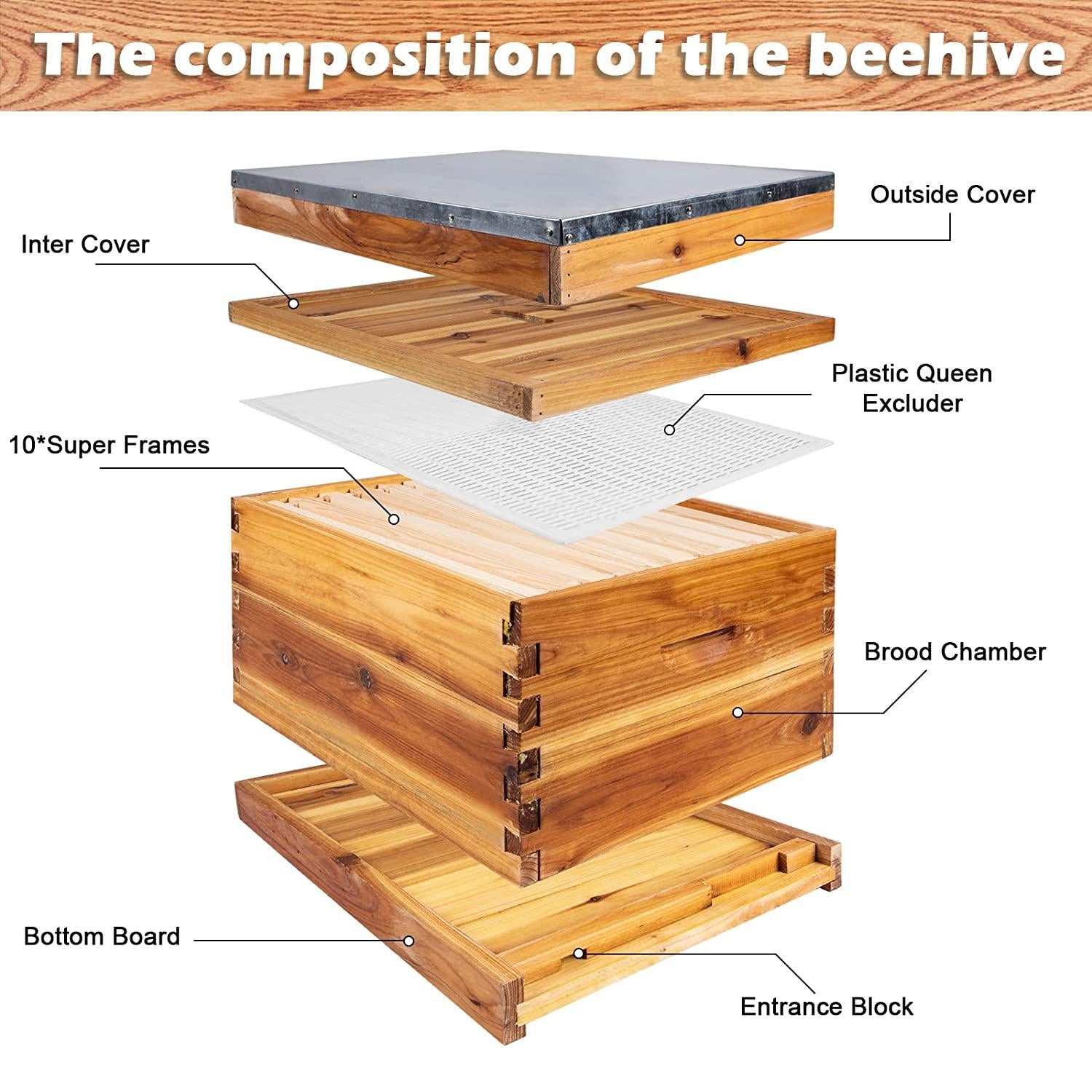 beehive starter kit, 10-frame bee hives &amp; 24pcs beekeeping supplies tools kit, wax coated and painted honey bee box and professional beekeeping starter tools