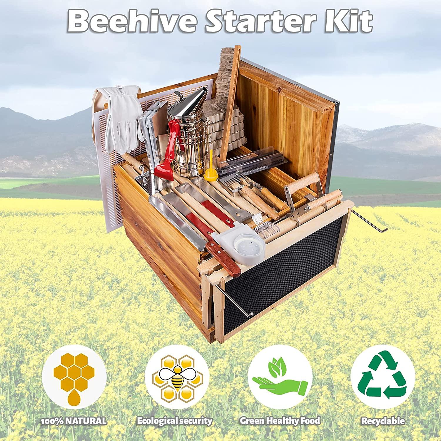 beehive starter kit, 10-frame bee hives &amp; 24pcs beekeeping supplies tools kit, wax coated and painted honey bee box and professional beekeeping starter tools