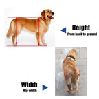 Haodan electronics 2 Wheel 5" Pet Dog Cat Wheelchair Aluminium Walk Cart Scooter for Handicapped Hind Leg XS Model Pet Weight 3-15kg can Adjusted
