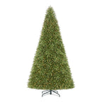 12 ft Dunhill Fir Incandescent Christmas Tree