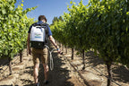 M4 MY4SONS 4-Gallon Battery-Powered Backpack Sprayer, Multipurpose, Battery & Charger Included