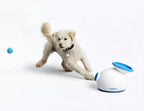 iFetch Interactive Ball Launchers for Dogs