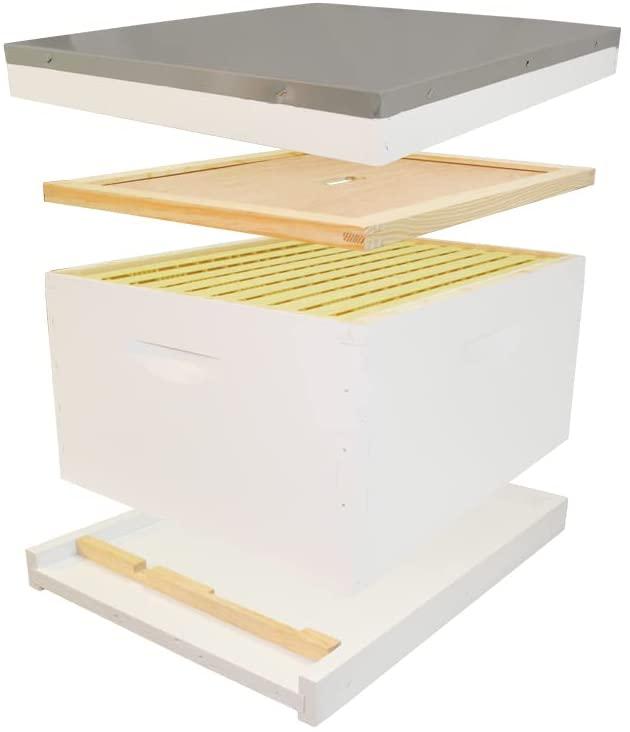 10-frame complete painted hive kit, assembled, made in the usa