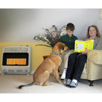 30,000 BTU Vent Radiant Propane Heater