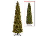 12 ft. Downswept Douglas(R) Pencil Slim Fir Tree with Dual Color LED Lights