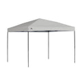 ST100 Shade Tech 10 ft. x 10 ft. Grey Straight Leg Canopy