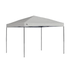 ST100 Shade Tech 10 ft. x 10 ft. Grey Straight Leg Canopy