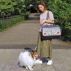 Pet Paradise Snoopy Family Handle Carry Bag [Small Dog] 752-91359 [Small Dog]