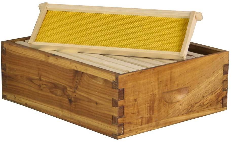 hoover hives 8 frame langstroth beehive dipped in 100% beeswax includes wooden frames &amp; waxed foundations (1 deep box, 1 medium box)