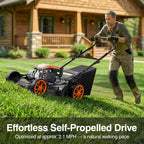 21” Self Propelled Lawn Mower Gas, 170CC 4-IN-1 Mulch/Rear Bag/Side Discharge/Rear Discharge, Walk-Behind Gas Lawnmower with 7-Position Cutting Height, Foldable Gas Powered Lawn Mowers for Lawn Garden