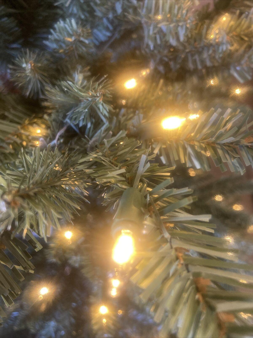 Open Box Balsam Hill Classic Blue Spruce 5.5' Tree with Candlelight LED Lights
