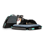 Spruce Pup Indoor/Outdoor Travel Dog Pet Bed - with Foldable, Supportive Foam &amp; Removable Machine Washable Waterproof Fitted Soft -Suede Quilted Sheets, Small Medium LarSizes